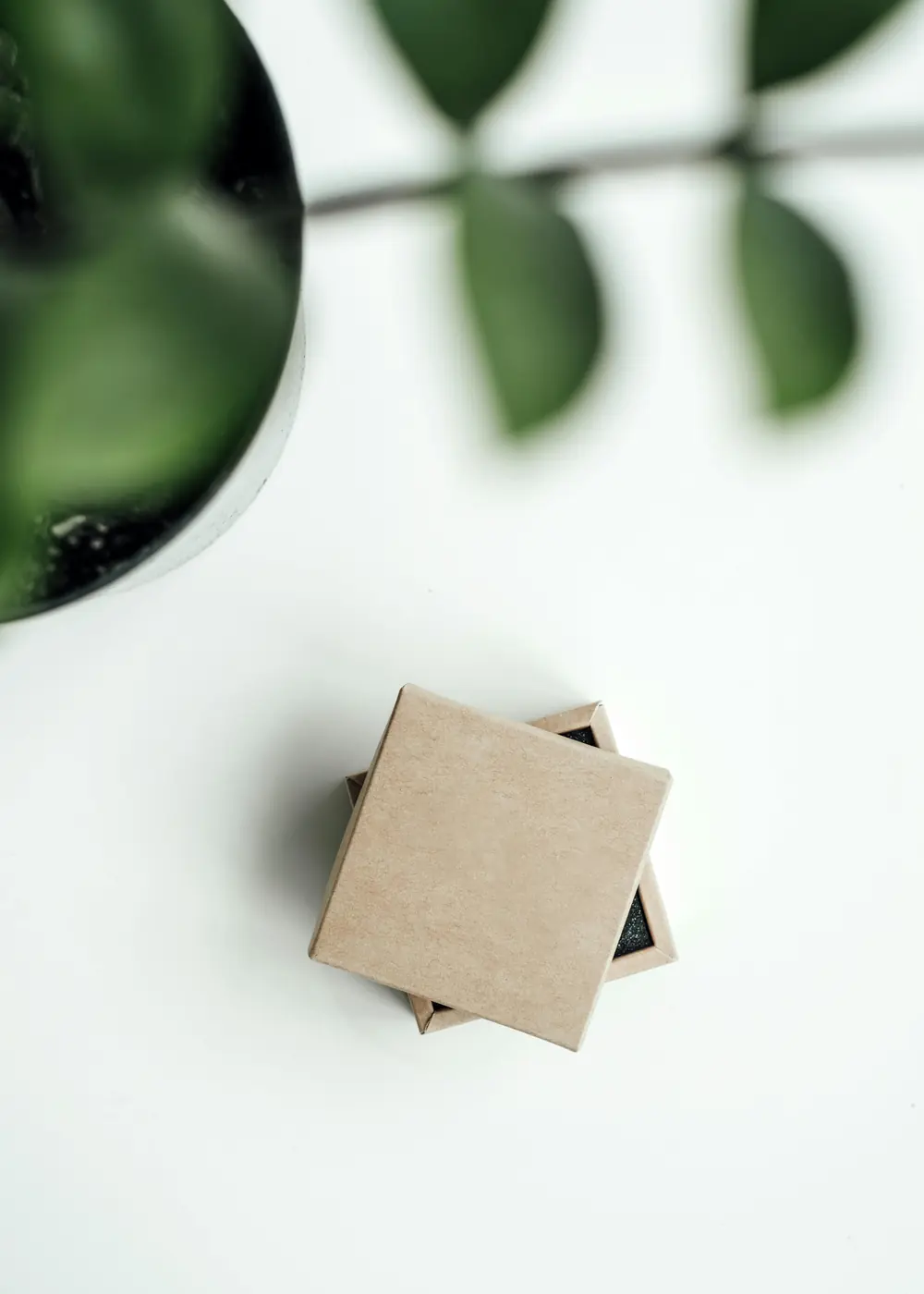 Co dokładnie dostaję w cenie?